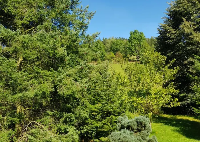 Pod Strani Kır Evi